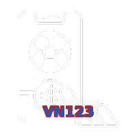 VN123