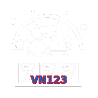 VN123
