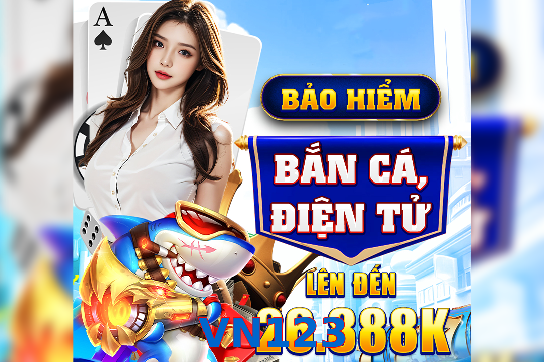 VN123