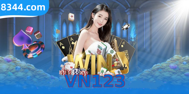 VN123