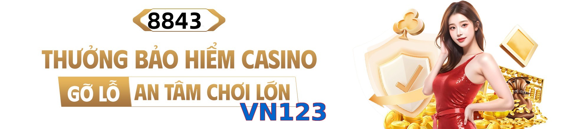 VN123