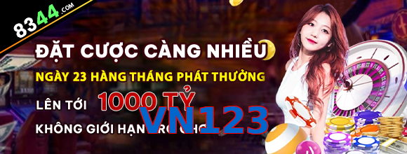 VN123